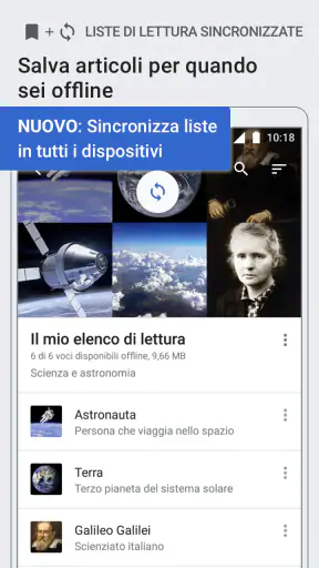 Wikipedia screenshot