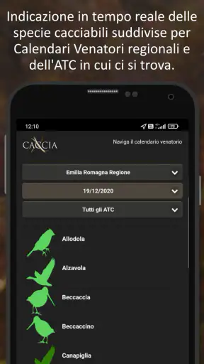 XCaccia screenshot