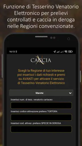 XCaccia screenshot