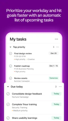 Asana screenshot