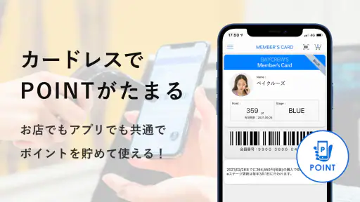 BAYCREW'S screenshot