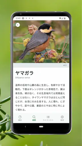 Cornell LabによるMerlin Bird ID screenshot