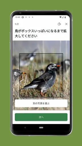 Cornell LabによるMerlin Bird ID screenshot