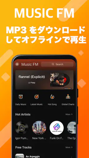 FM Music Story screenshot