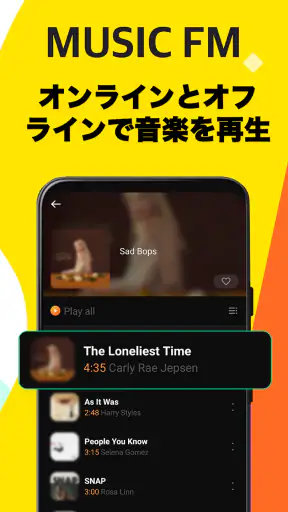 FM Music Story screenshot