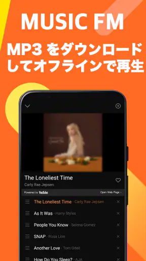 FM Music Story screenshot