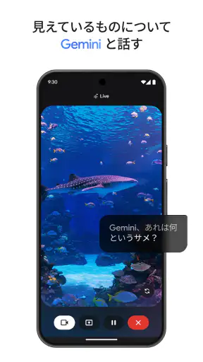 Google Gemini screenshot