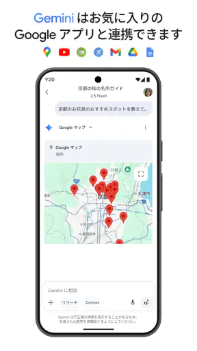 Google Gemini screenshot