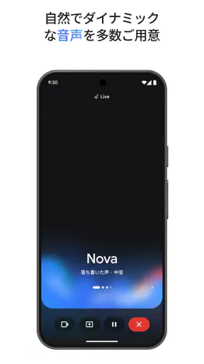 Google Gemini screenshot