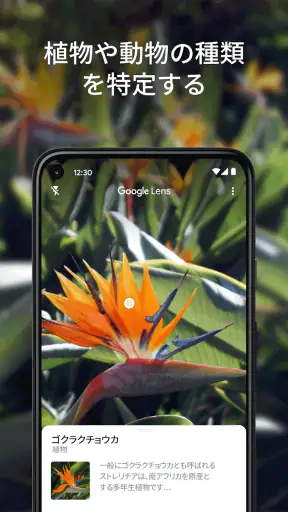 Google レンズ screenshot