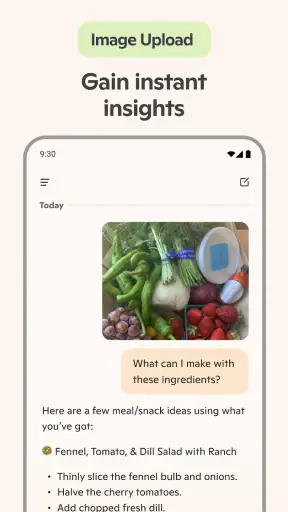 Microsoft Copilot screenshot