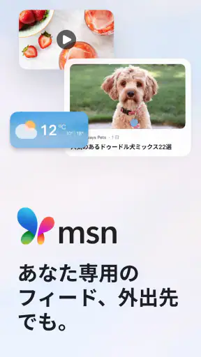 MSN screenshot