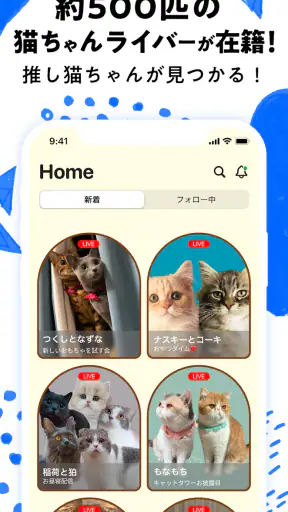 nekochan - 猫だけのライブ配信で癒されよう！ screenshot