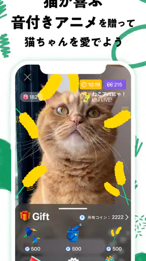 nekochan - 猫だけのライブ配信で癒されよう！ screenshot