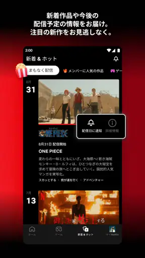 Netflix screenshot