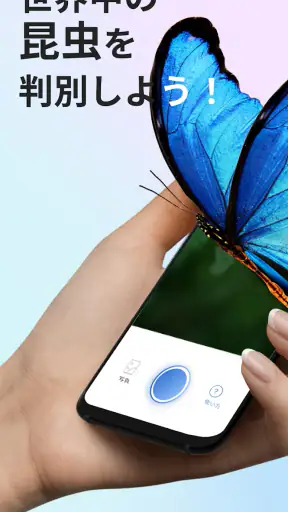 Picture Insect：撮ったら、判る-1秒昆虫図鑑 screenshot