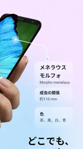 Picture Insect：撮ったら、判る-1秒昆虫図鑑 screenshot