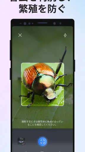 Picture Insect：撮ったら、判る-1秒昆虫図鑑 screenshot
