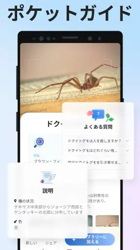 Picture Insect：撮ったら、判る-1秒昆虫図鑑 screenshot