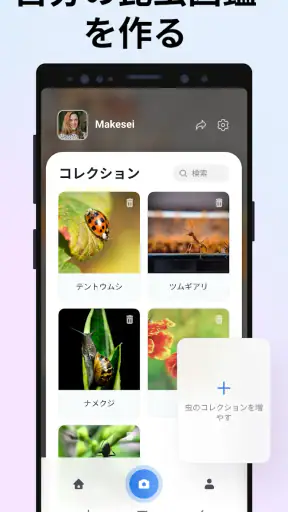 Picture Insect：撮ったら、判る-1秒昆虫図鑑 screenshot