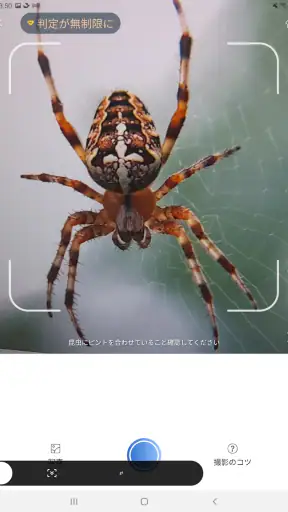 Picture Insect：撮ったら、判る-1秒昆虫図鑑 screenshot