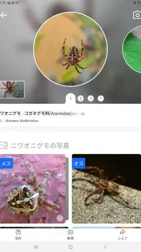 Picture Insect：撮ったら、判る-1秒昆虫図鑑 screenshot