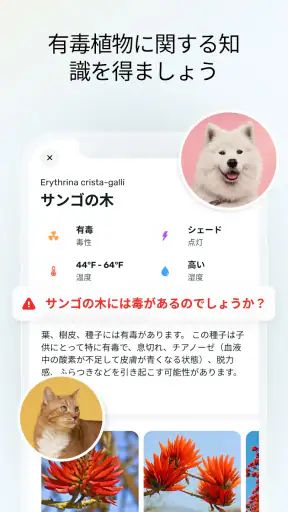 Plant App - 植物識別子 screenshot