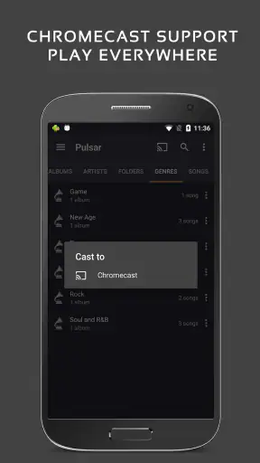 Pulsar 音楽プレイヤー プロ screenshot
