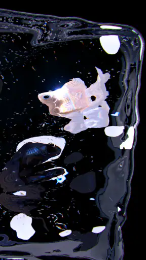 RYUKIN screenshot