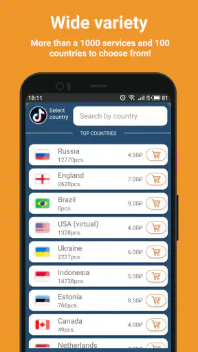 SMS-Activate 仮想番号 screenshot
