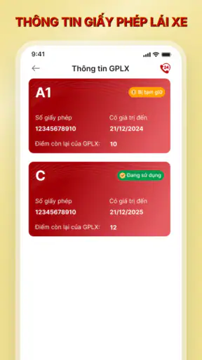VNeTraffic screenshot