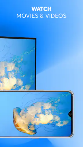 スクリーン ミラーリング - TV キャスト screenshot