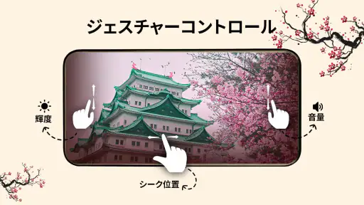 フルHDビデオプレーヤーすべてのフォーマット screenshot