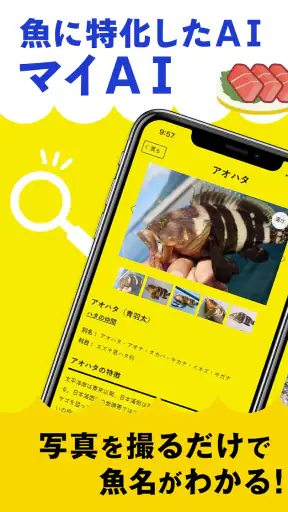 マイAI-AIが魚を判定する魚図鑑 screenshot