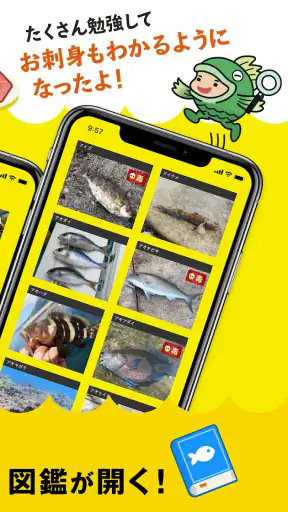 マイAI-AIが魚を判定する魚図鑑 screenshot