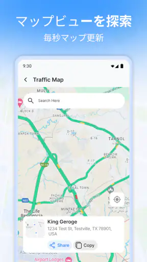 ライブ衛星ビュー: 道路地図 screenshot