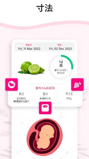 妊娠出産 - ベビーカレンダー - 妊娠計算機 とカレンダー screenshot
