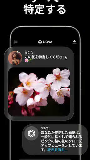 日本語のAIチャットボット - Nova screenshot