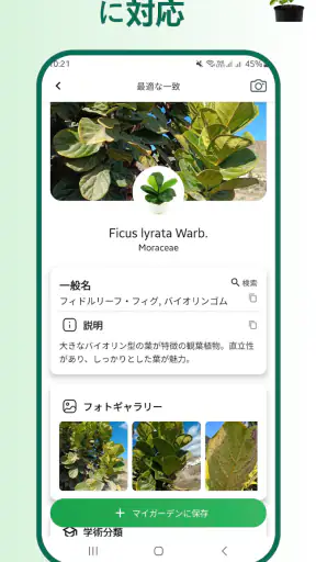 植物識別子 screenshot