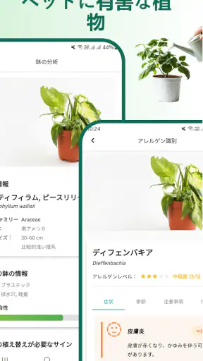 植物識別子 screenshot