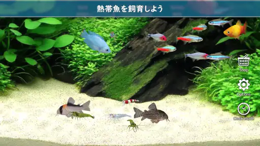 熱帯魚育成「ミニアクア」癒しのアクアリウム体験 screenshot