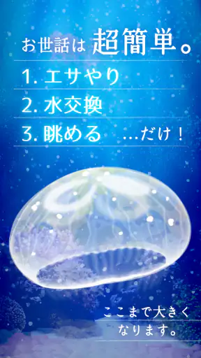 癒しのクラゲ育成ゲーム - 無料放置育成ゲーム screenshot