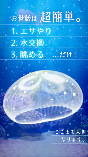 癒しのクラゲ育成ゲーム - 無料放置育成ゲーム screenshot