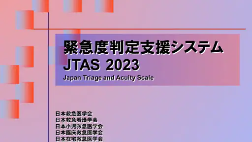 緊急度判定支援システム JTAS2023 screenshot