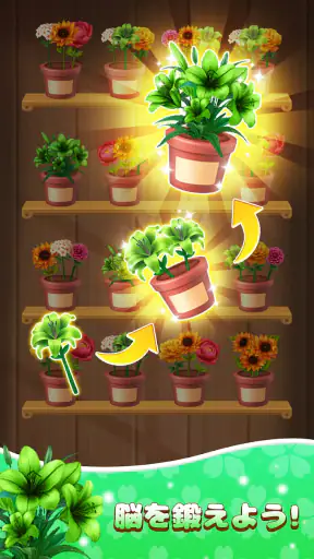 花の分類: 花のパズルゲーム screenshot