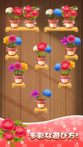 花の分類: 花のパズルゲーム screenshot