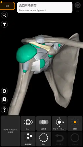 解剖学 - 3Dアトラス screenshot