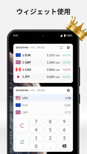 通貨換算プラス screenshot