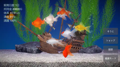 金魚育成アプリ・ポケット金魚 screenshot
