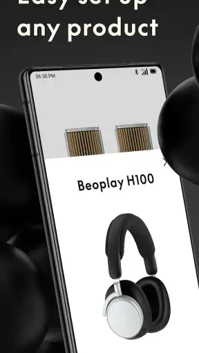Bang & Olufsen screenshot